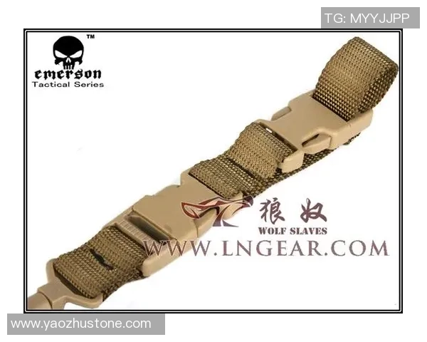 上海攀岩队战术对比深度解析与未来发展展望