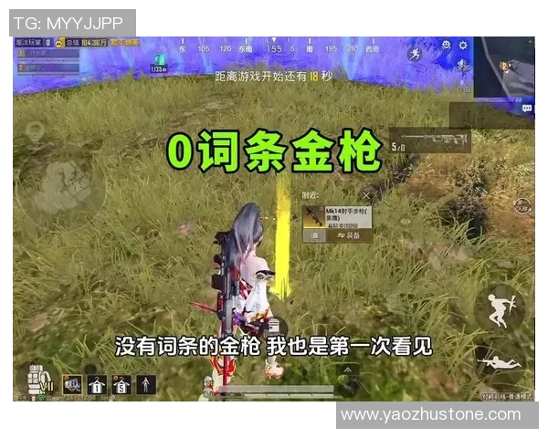 和平精英战队IG的荣耀之路与成长历程全景回顾